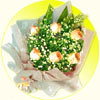 Click here for more on Orange Delight