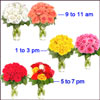Click here for more on All Smiles- 6 Bunches 3 times