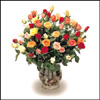 Click here for more on Rose Garden