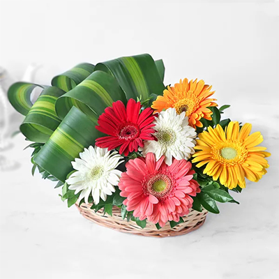 Click here for more on Mixed Gerberas Flower Basket (Krish)