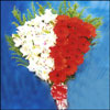 Click here for more on Bright Blooms