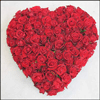 Click here for more on Just 4 U