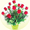 Click here for more on Delicate Beauty