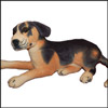Click here for more on Black Dog - (Soft Toy)