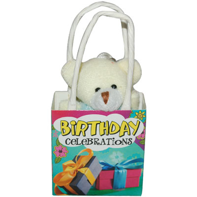 Birthday Celebrations Teddy With Bag -1267-code001