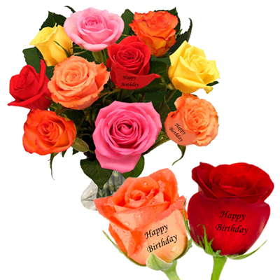 Talking Roses (Print on Rose) (100 Red Roses) - send Talking Roses (Birthday  Gifts) to India, Hyderabad