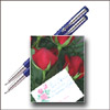 Click here for more on Nireekshana ...