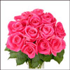 Click here for more on Pink Glory