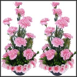 Click here for more on Beautiful expressions