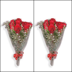 Click here for more on 4 A Special Duo