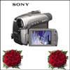 Click here for more on Heartly Wishes