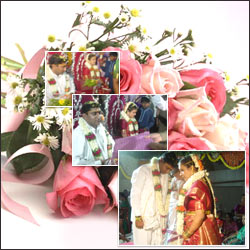 Click here for more on Loving Gesture