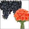 Click here for more on Fruits N Flowers Combo-9