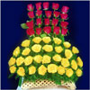 Click here for more on Rainbow Wishes
