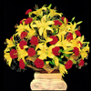 Click here for more on Floral Breeze