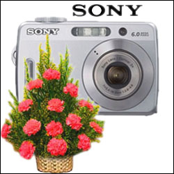 Click here for more on World