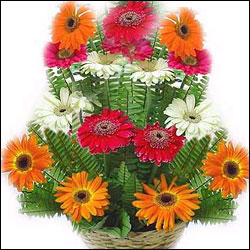 Click here for more on Splendid Regards