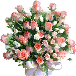 Click here for more on Floral Rainbow
