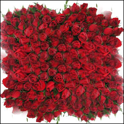 Click here for more on Royal Wish
