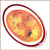 Click here for more on Special Apolla Fish Curry - (1 Plate)