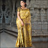 Click here for more on Exclusive Kanchi Vendhanti Tissue brocade - DCM-36