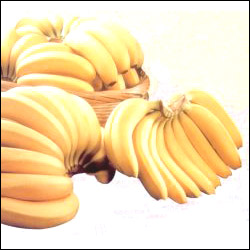 Click here for more on Banana Bonanza