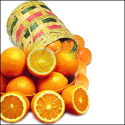 Click here for more on Oranges - 24no