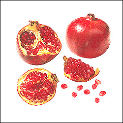 Click here for more on Pomegranates - 12nos