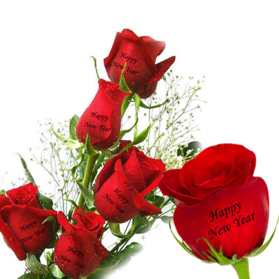 Talking Roses (Print on Rose) (100 Red Roses) - send Talking Roses (Birthday  Gifts) to India, Hyderabad