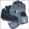 Click here for more on SG World Cup Wicket Keeping Gloves