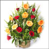 Click here for more on Splendid love