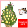 Click here for more on Yellow Mania Flowers