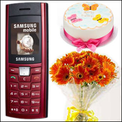 Click here for more on Cellphone Surprise - Samsung - SGH-C170 - FM Radio Mobile Handset
