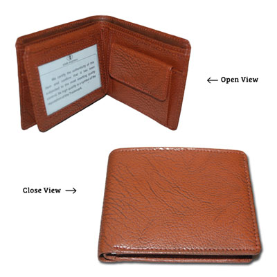 Click here for more on State Exp Wallet Brown color F-74-002