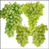 Click here for more on Seedless Green Grapes 4 KG