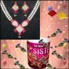 Click here for more on Hidden Surprise for Sis - code01