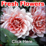 FRESH FLOWERS TO HYDERABAD